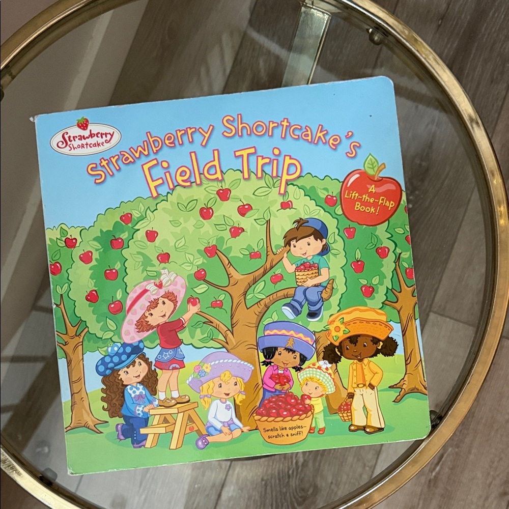 Y2K strawberry shortcake Field Trip Lift-the-Flap Book